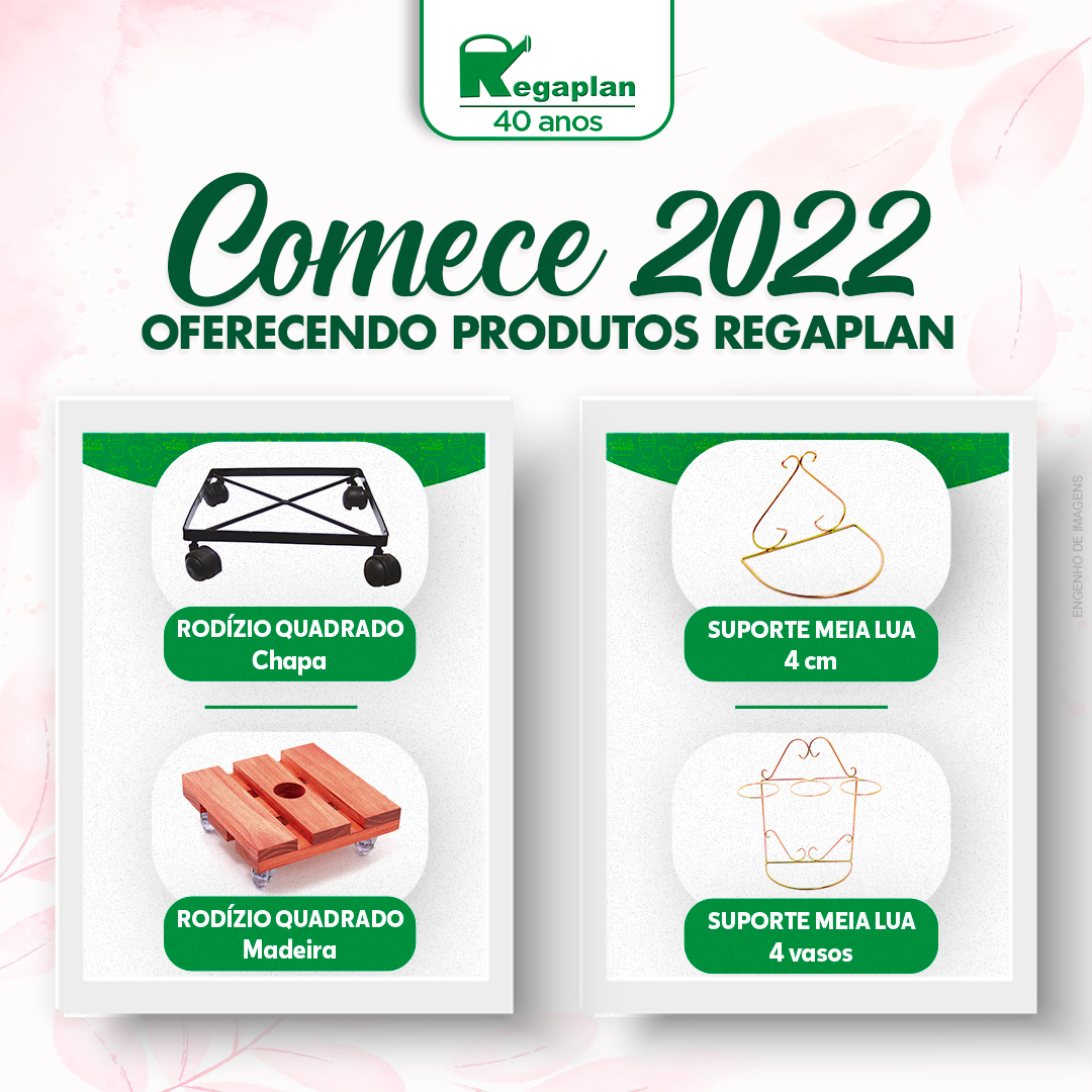 Comece 2022 oferecendo produtos Regaplan!