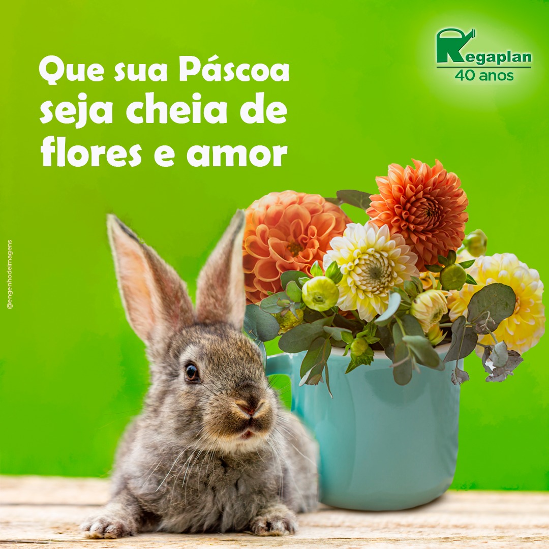 A PÁSCOA combina com chocolate, mas também com FLORES E AMOR