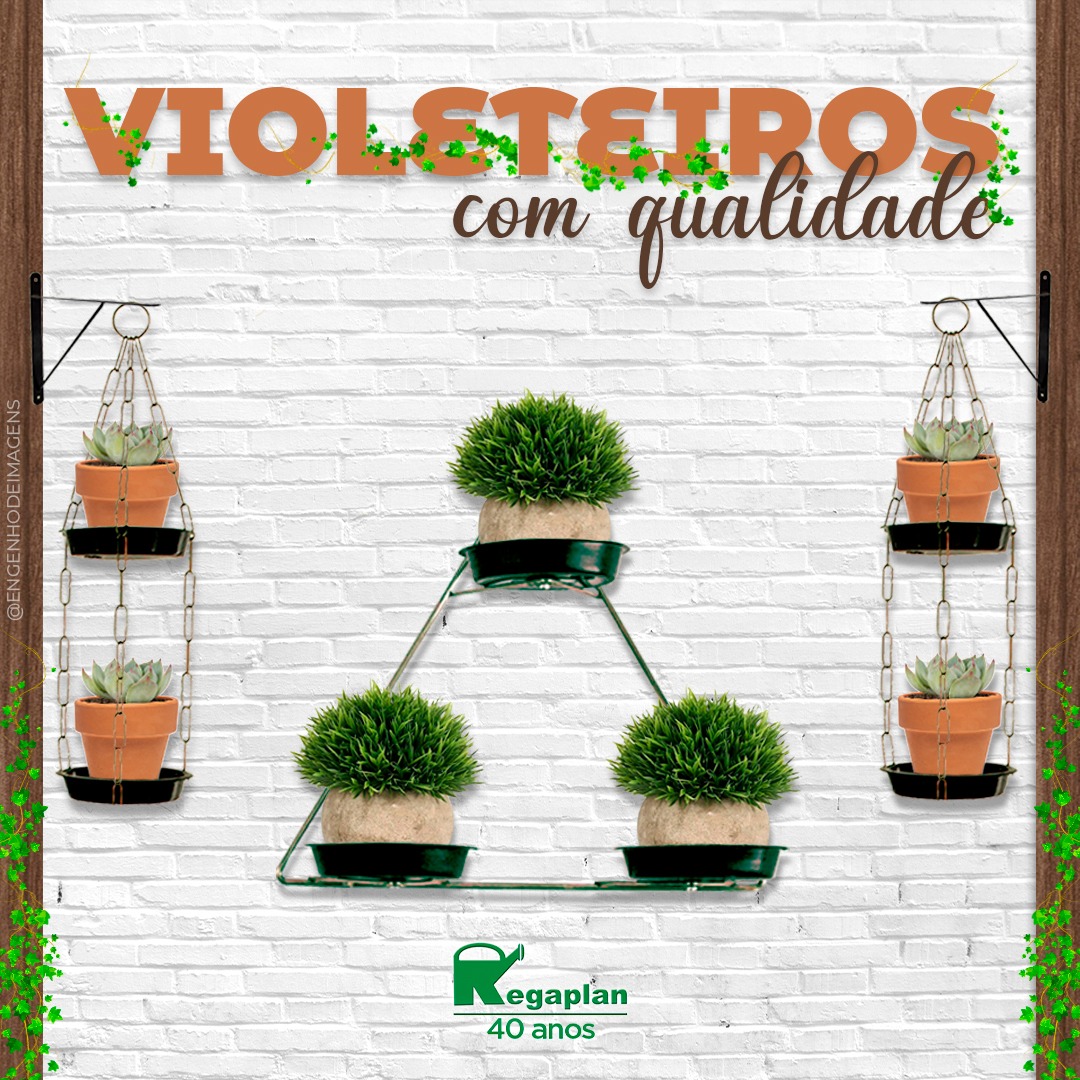 Os VIOLETEIROS da REGAPLAN possuem FORMATOS, TAMANHOS e CORES