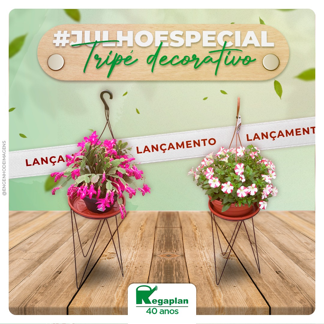 #JULHOESPECIAL com lançamento! 