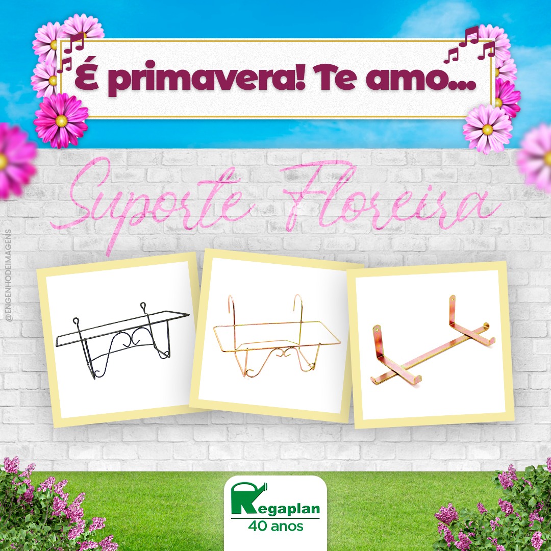 BEM-VINDA, PRIMAVERA! 