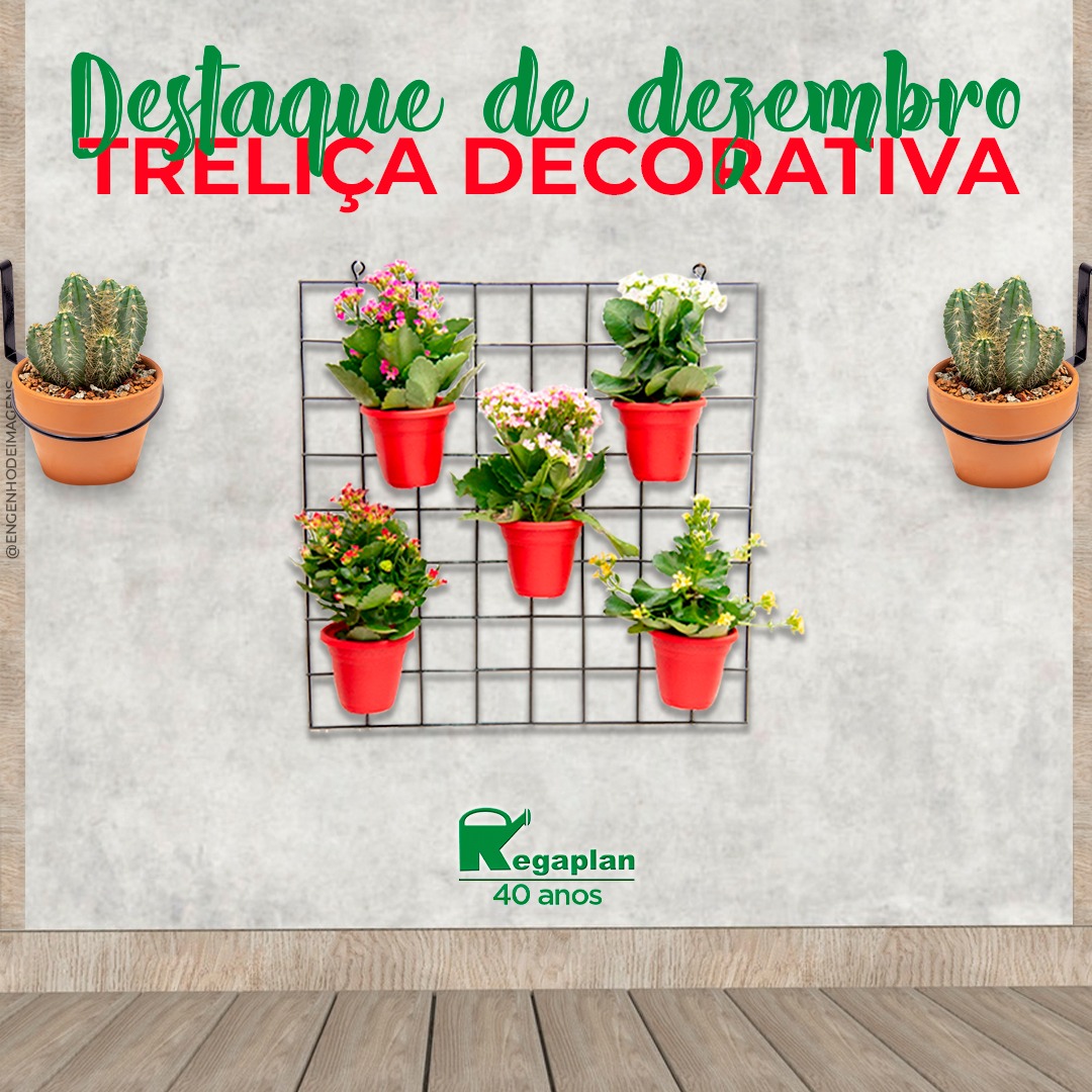 DESTAQUES de DEZEMBRO! 