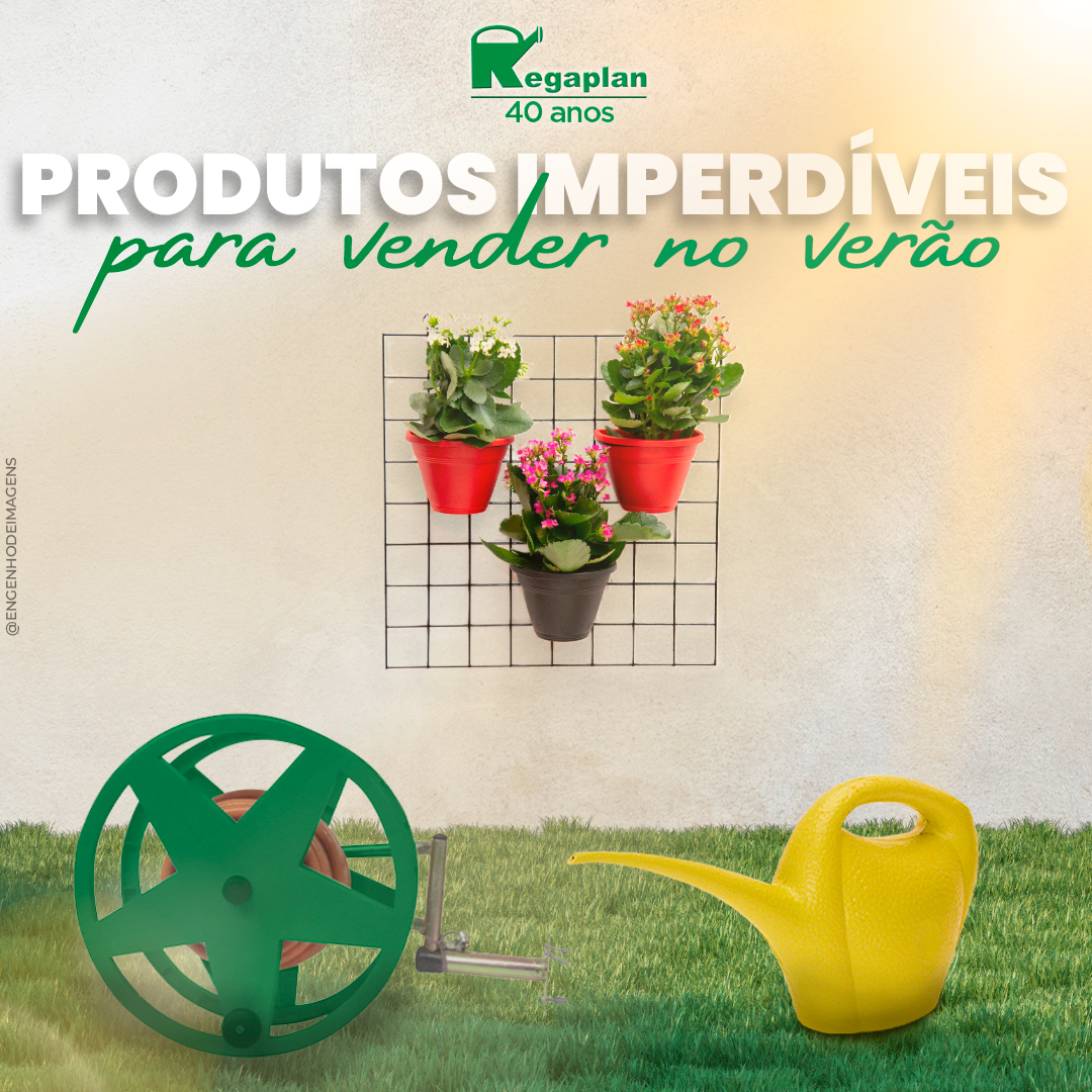 Não deixe de colher oportunidades no verão!