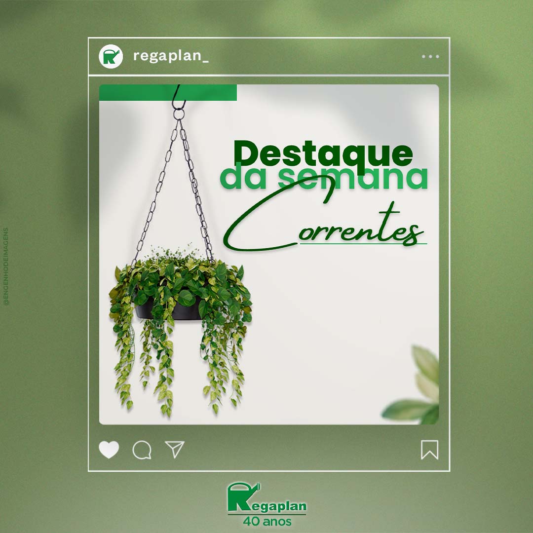 Conheça nossos produtos que são DESTAQUES DA SEMANA!