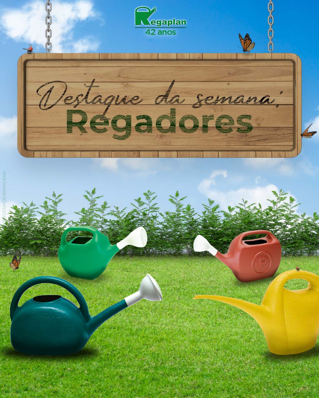 O destaque da semana! 