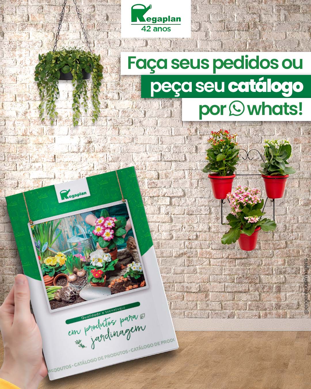 Expanda seus negócios com estilo e praticidade!