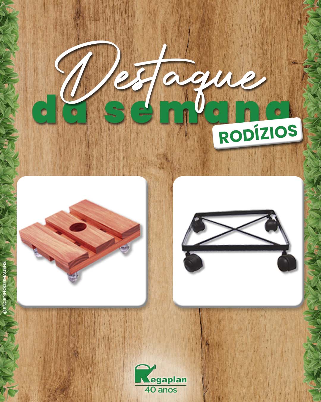 Rodízios de excelência