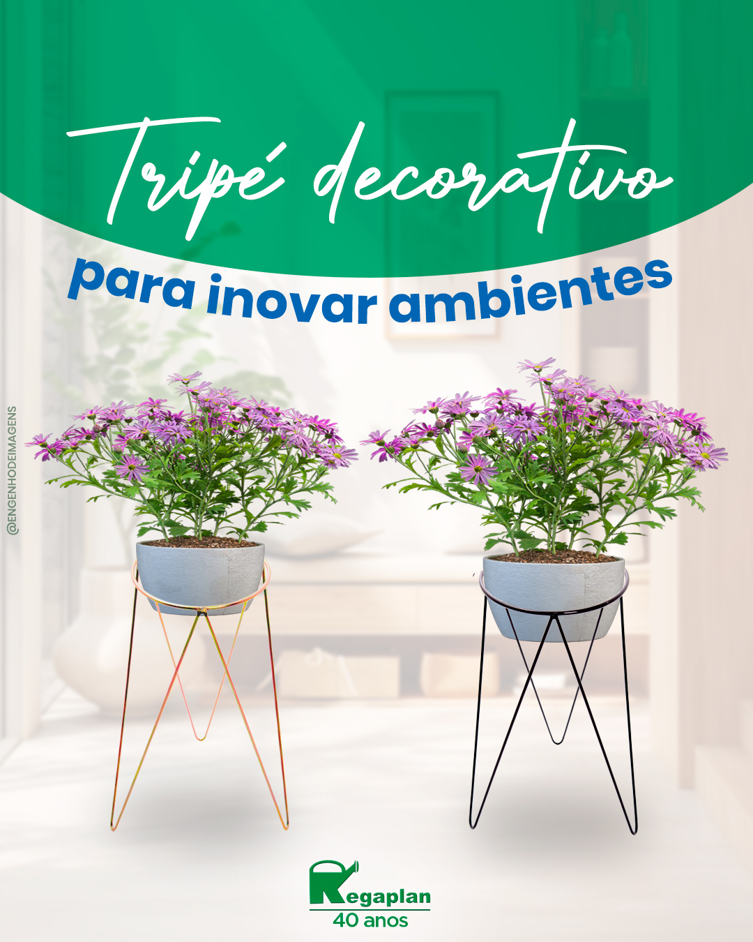 Tripé decorativo Regaplan 