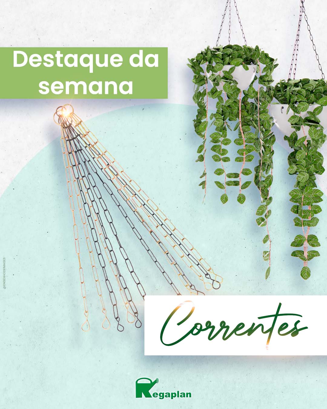 Enriqueça seu negócio com nossos produtos para uma jardinagem elegante!