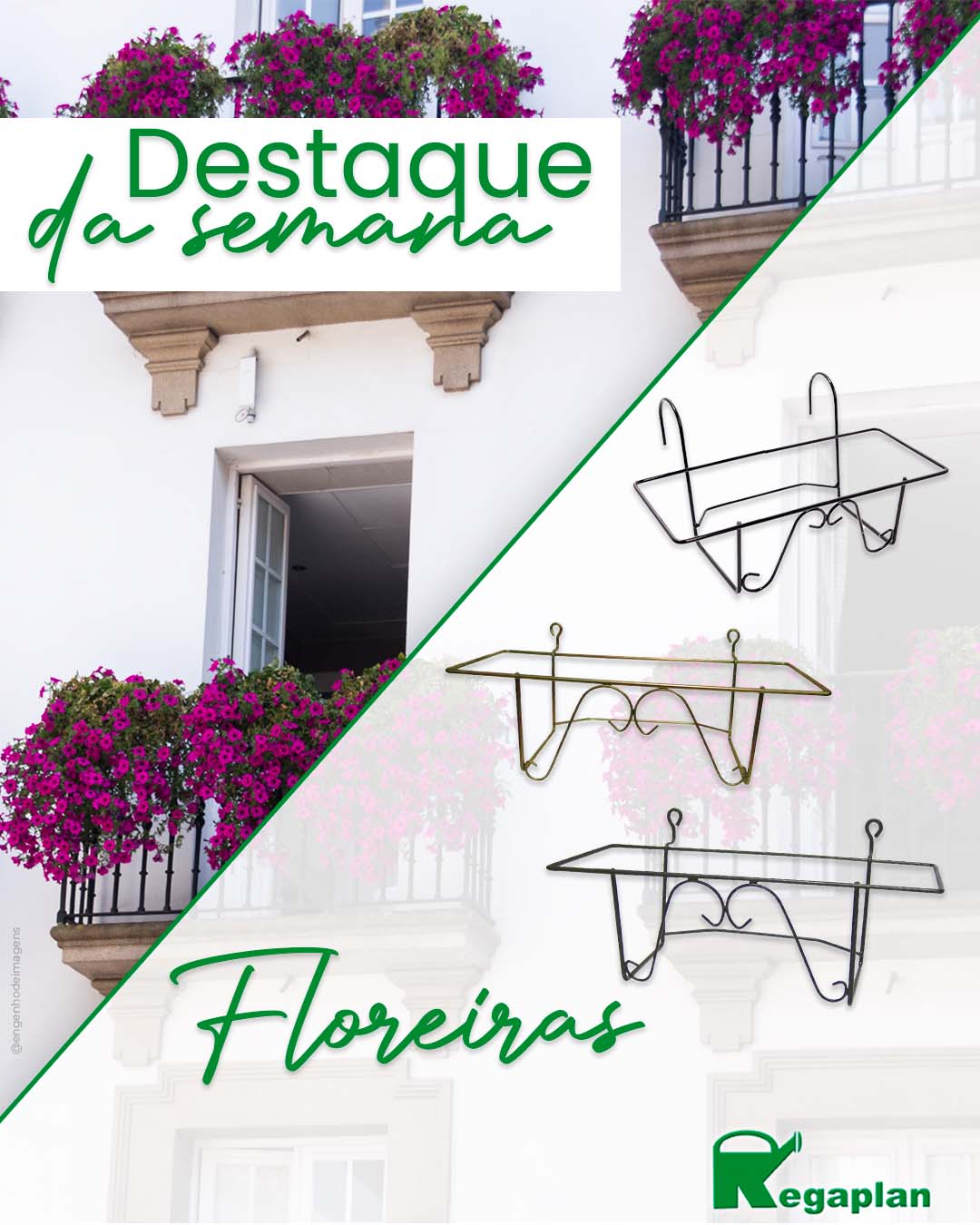 Destaque da semana na Regaplan: FLOREIRAS