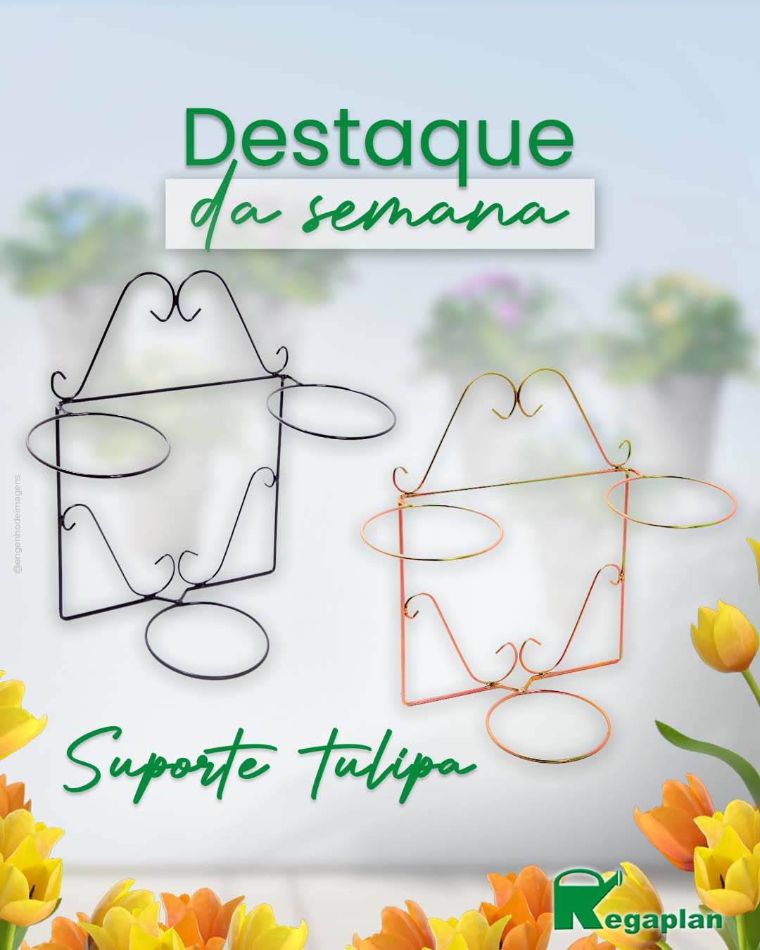  Conheça Nosso Suporte de Tulipas! 