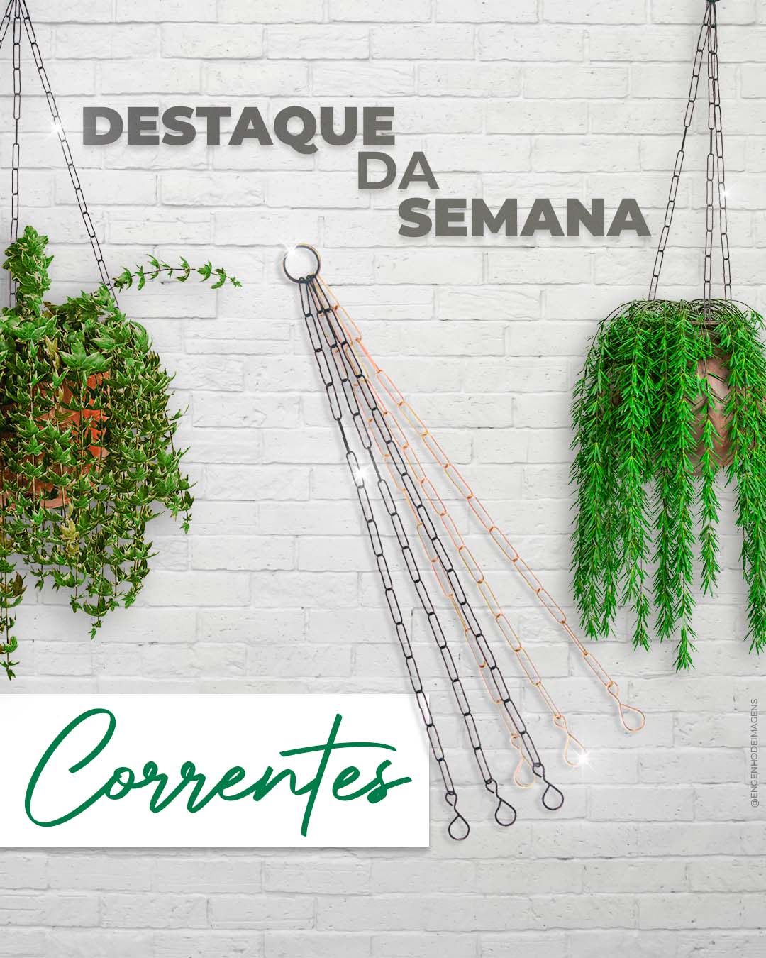 Destaque da semana!! 