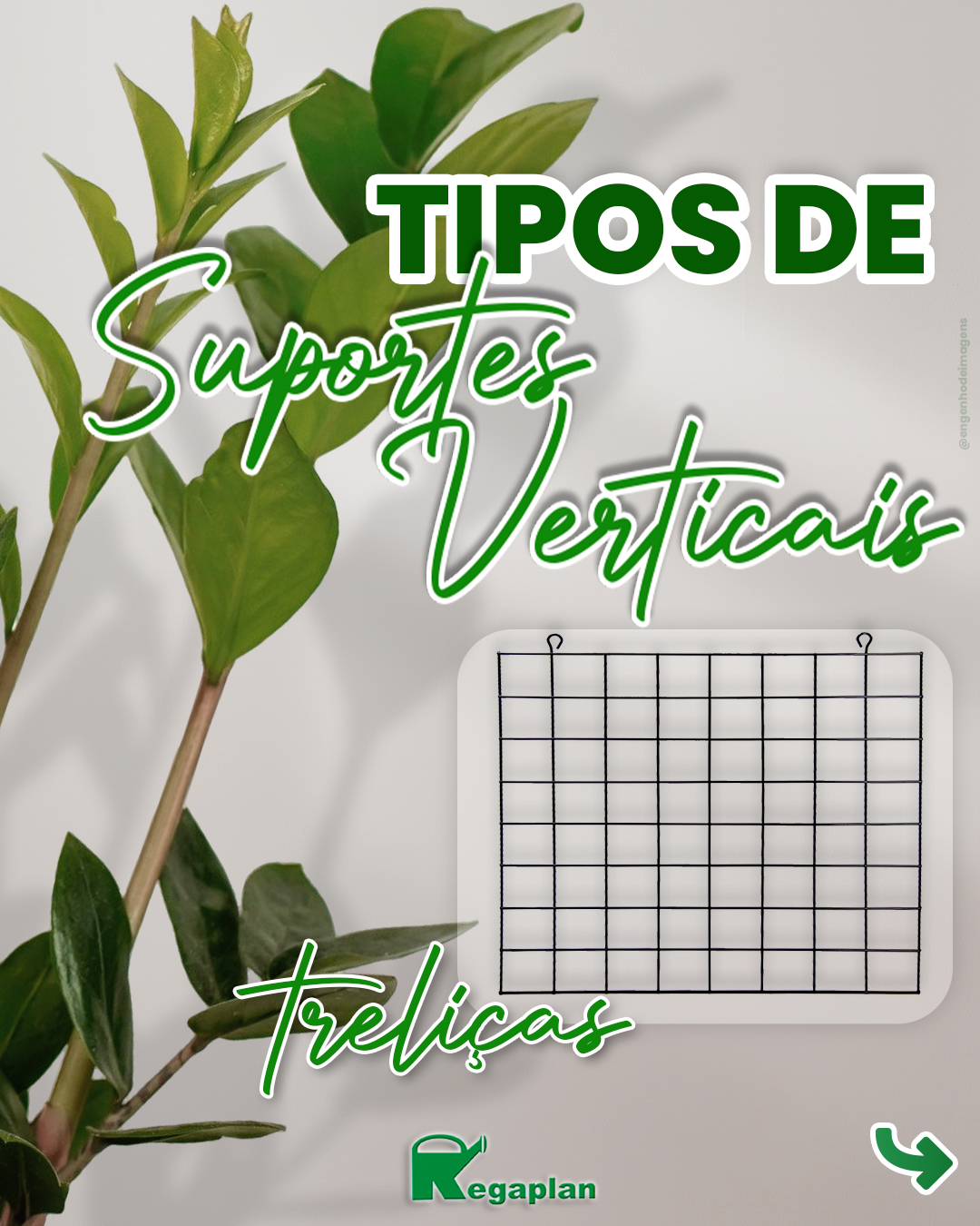 Tenha produtos de elegância e funcionalidade