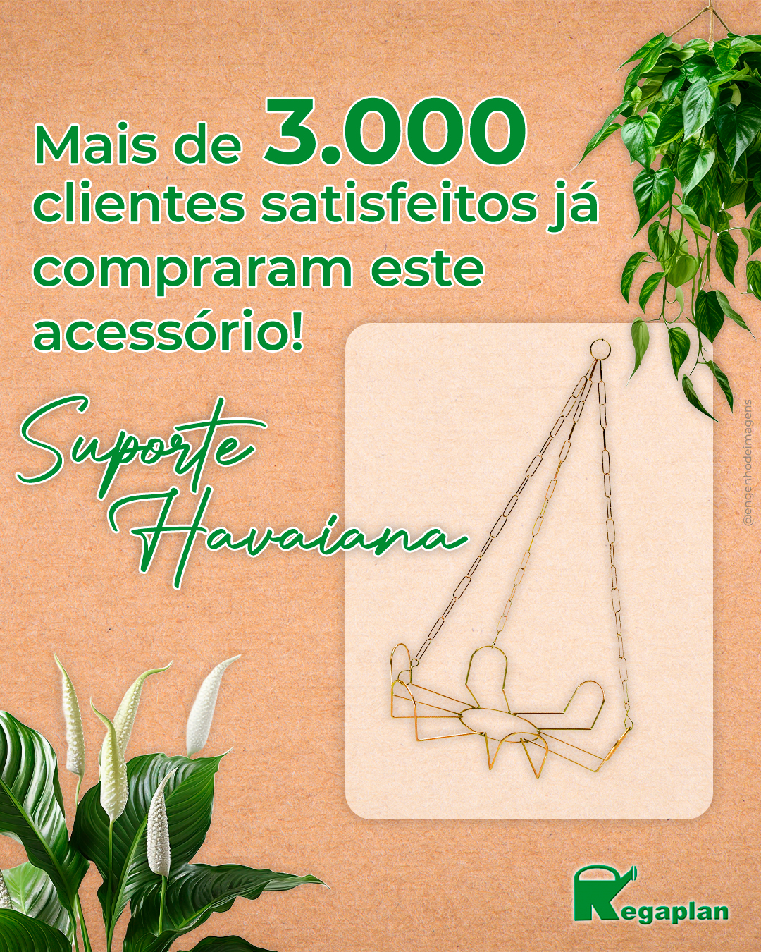 Mais de 3.000 clientes satisfeitos já escolheram o nosso SUPORTE HAVAIANA!