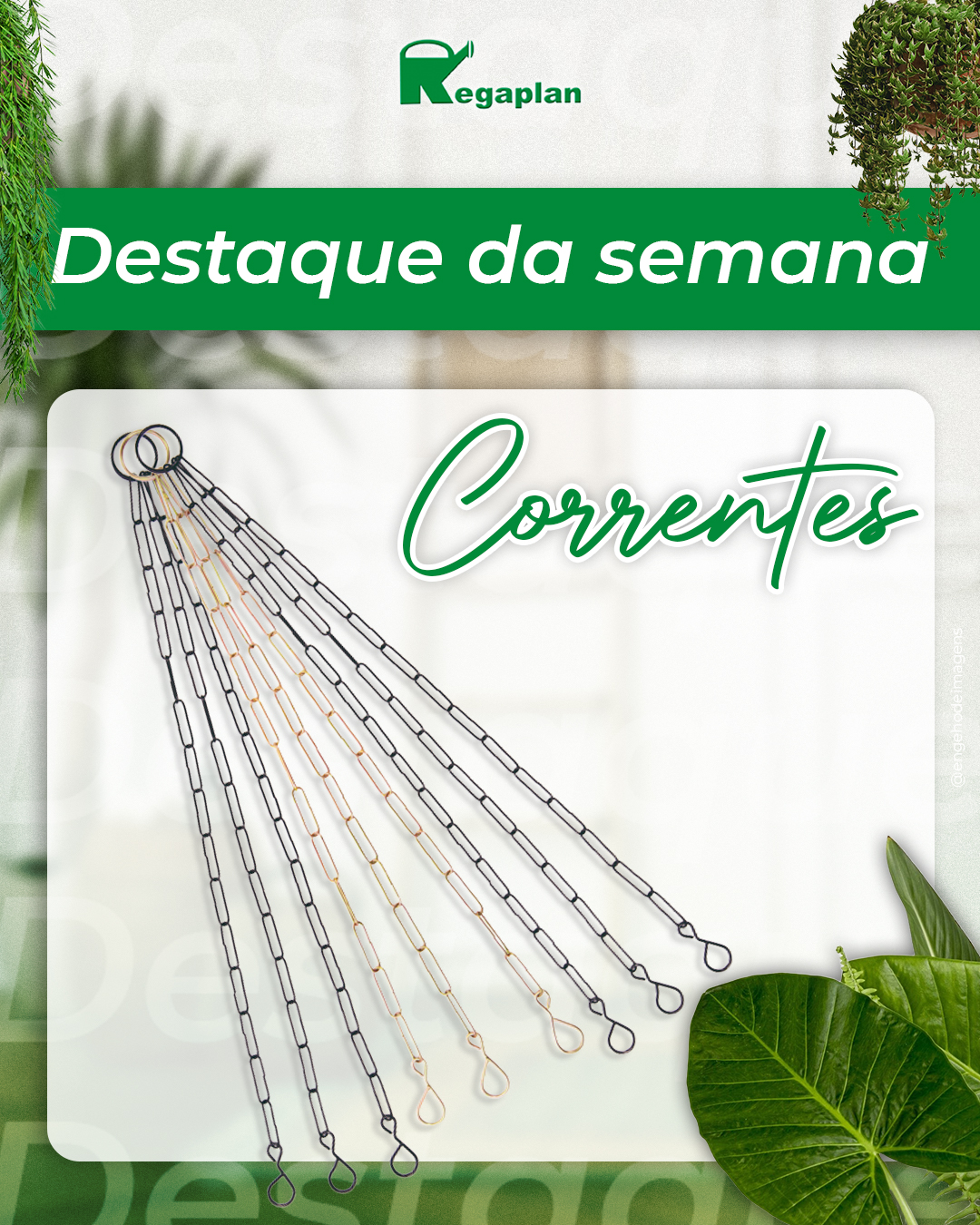  Destaque da Semana: Correntes! 