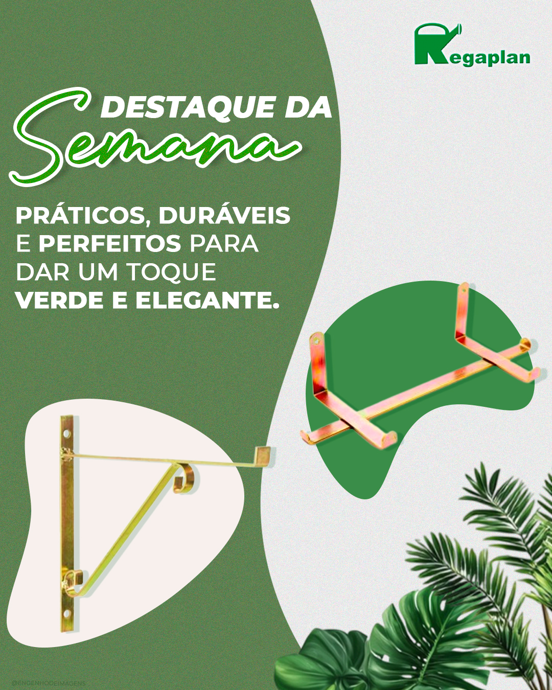 Destaque da semana na Regaplan.