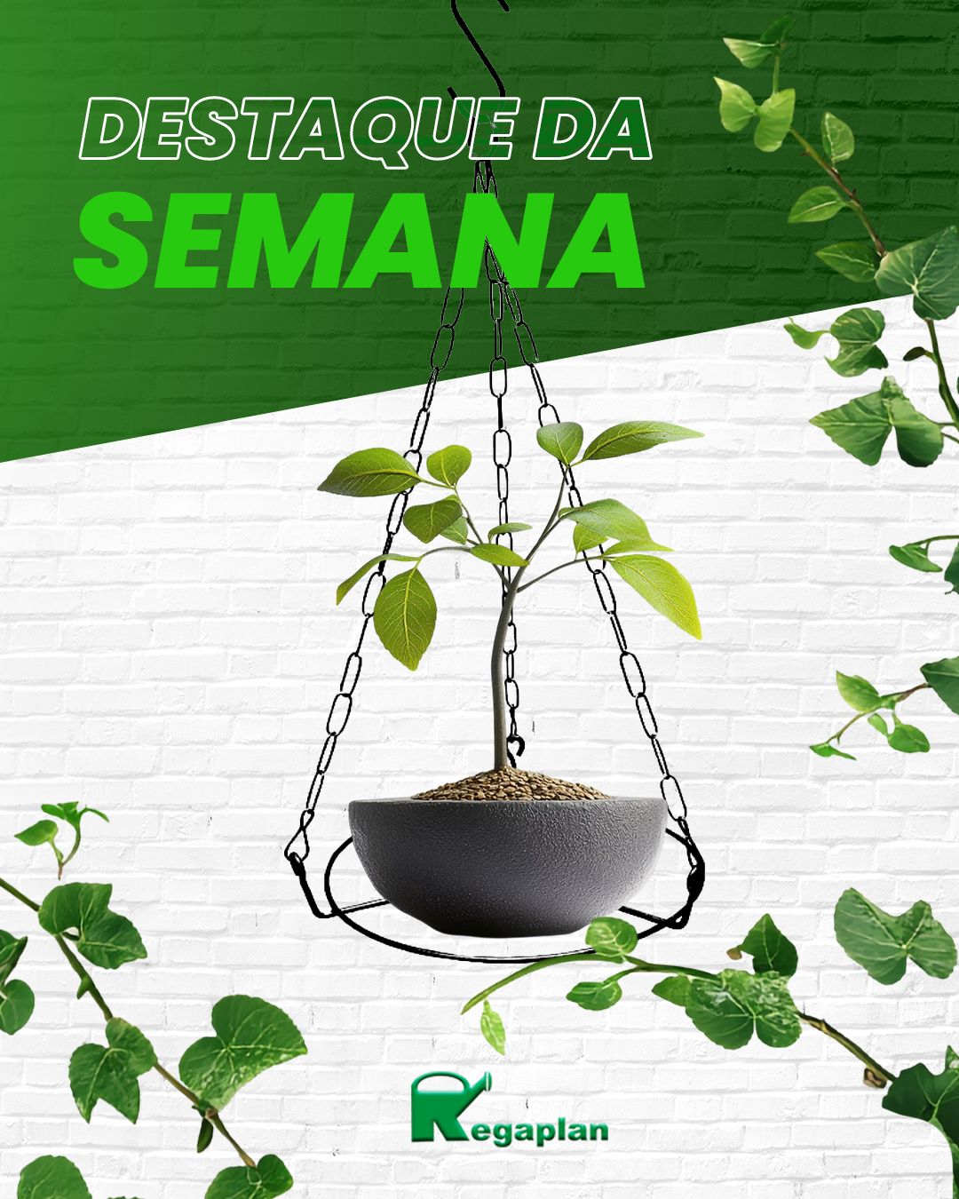 Oportunidade imperdível da semana!