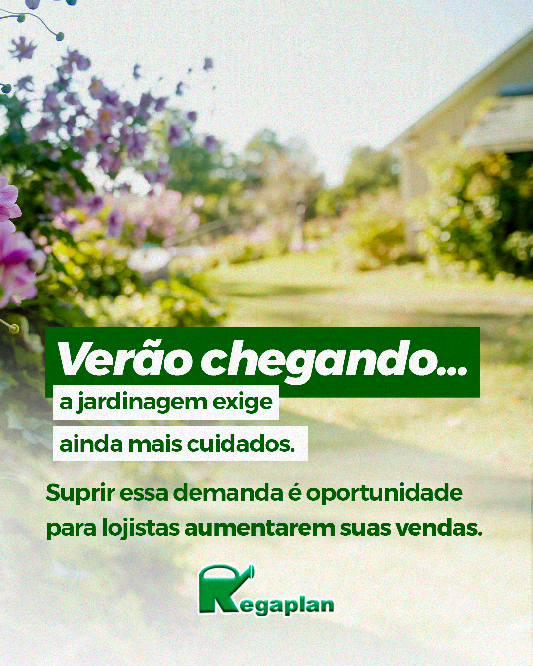  Com a chegada do verão, o jardim vira protagonista e sua loja também.