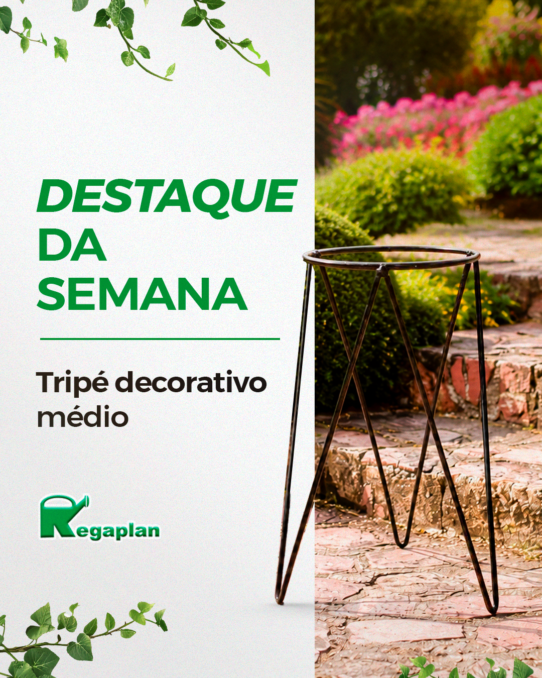 Pequenos detalhes fazem diferença na composição do jardim.