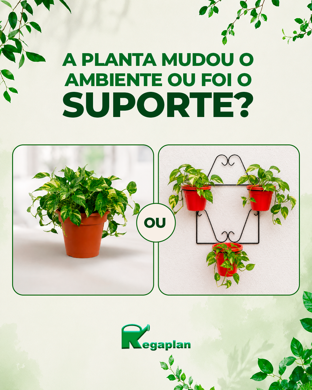 Os suportes para vasos da Regaplan transformam produtos comuns em decoração.