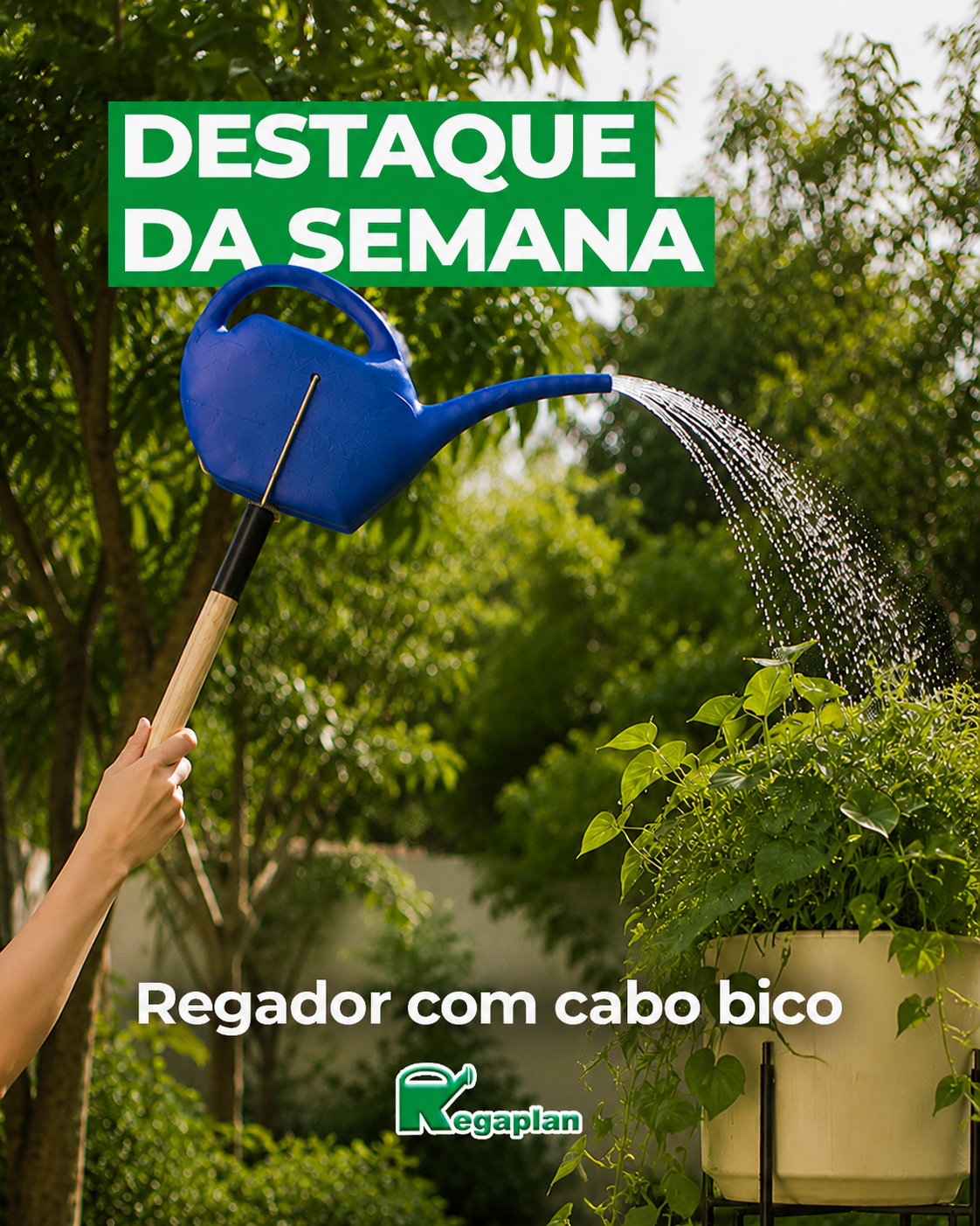 O destaque da semana é o regador com cabo e bico.