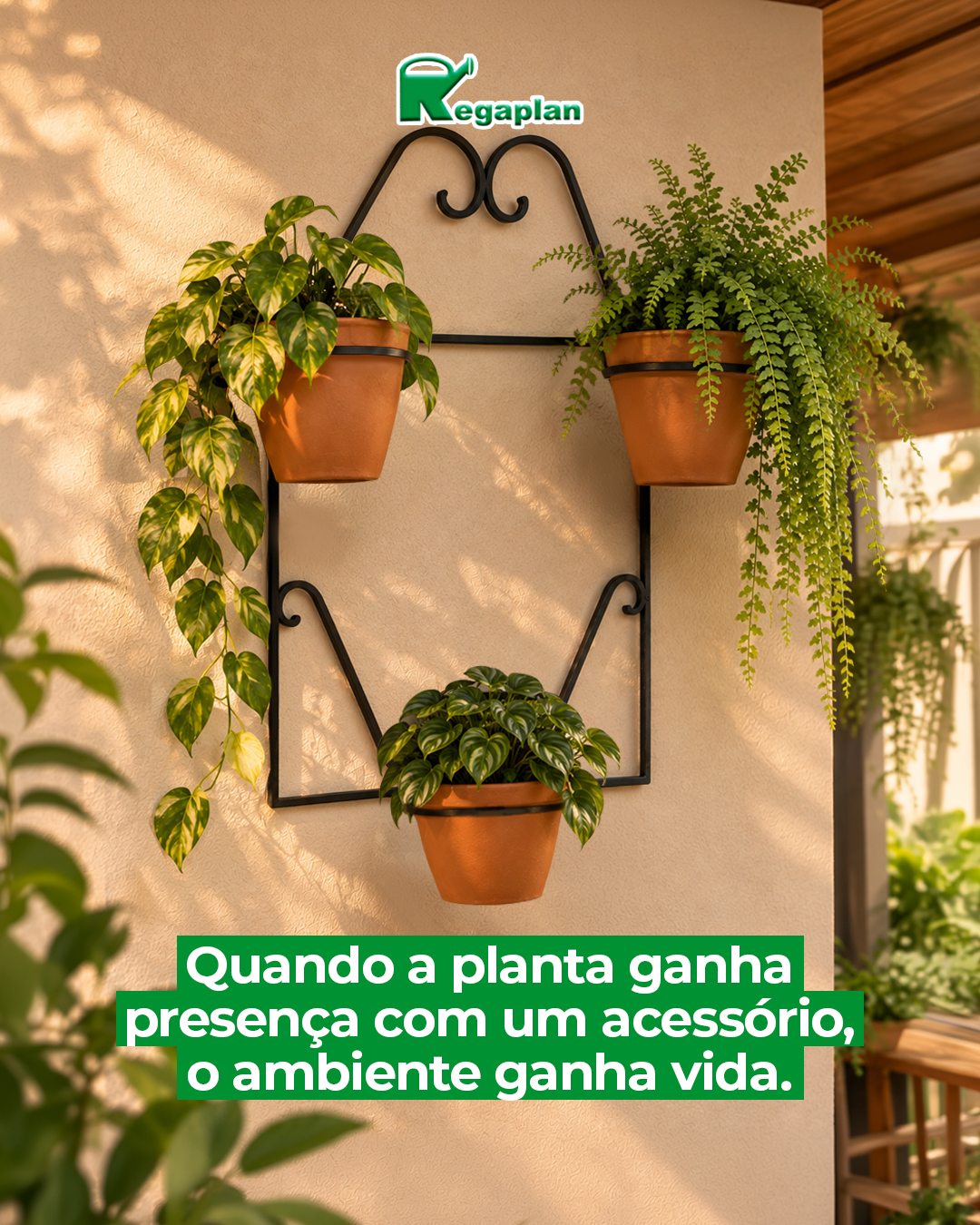 Uma planta ganha destaque com o acessório certo na composição.