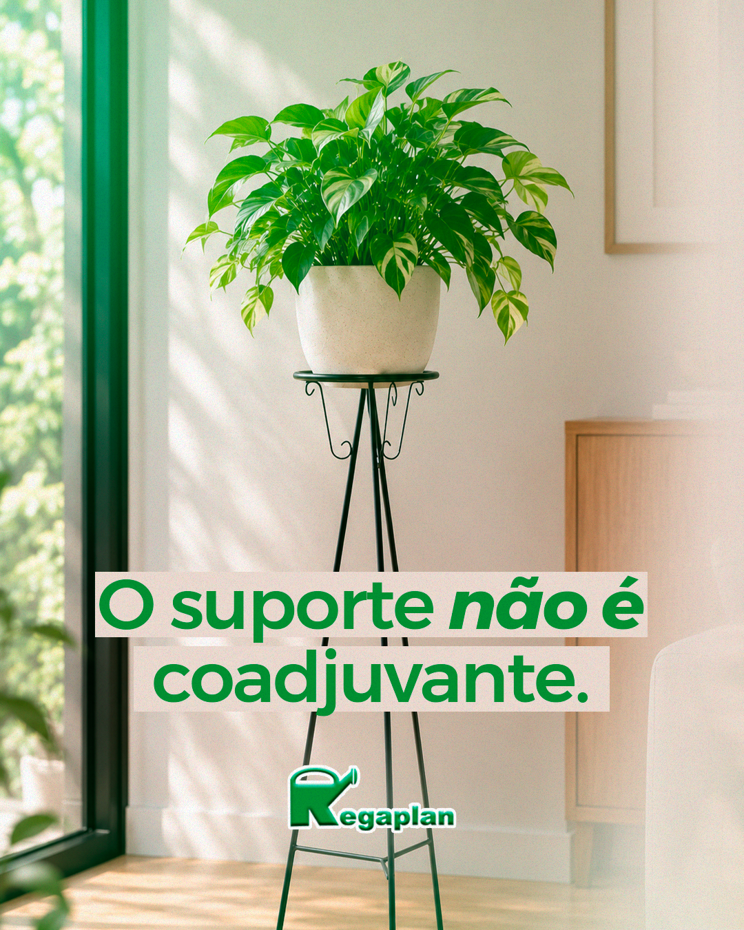 Em uma composição, o suporte é o detalhe que faz o produto ganhar presença.